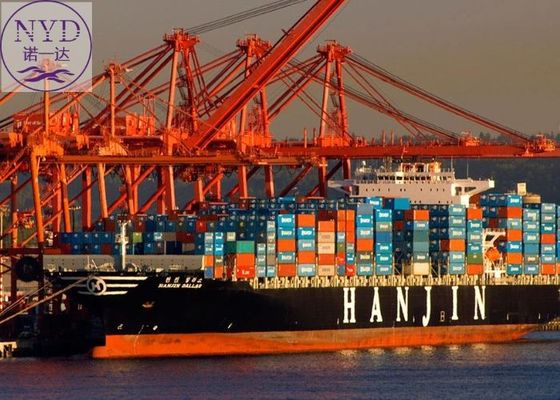 Safe FCL Sea Freight From USA To China Delivery Service Professional